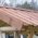 Toit planches pica trait avec rainure
