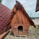 Niche Enchant�e, pin massif