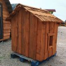 Poulailler mont�, pin massif